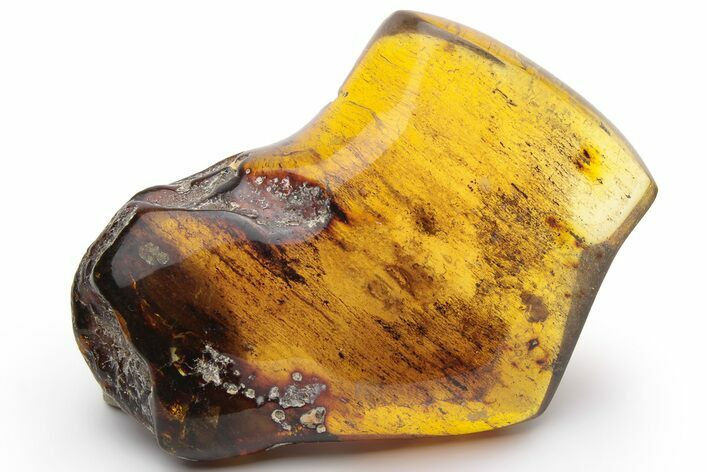 Polished Chiapas Amber ( grams) - Mexico #237424